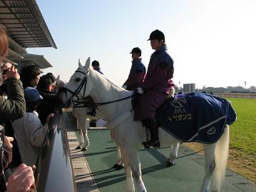 レポート ｊｃ ｊｃｄ現地レポート 07 11 27 ｋａｎｋａｎの競馬ニュース