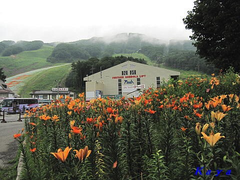 白馬岩岳ゆり園 １ ゆりの園へ 長野県白馬村 １ 09年7月 やねのうえ 日本の屋根 北陸 甲信越の旅