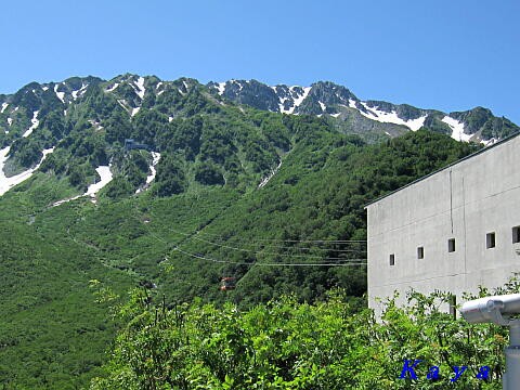 黒部平の高山植物園 １ ニッコウキスゲ 立山黒部アルペンルート 第16章2の23 やねのうえ 日本の屋根 北陸 甲信越の旅