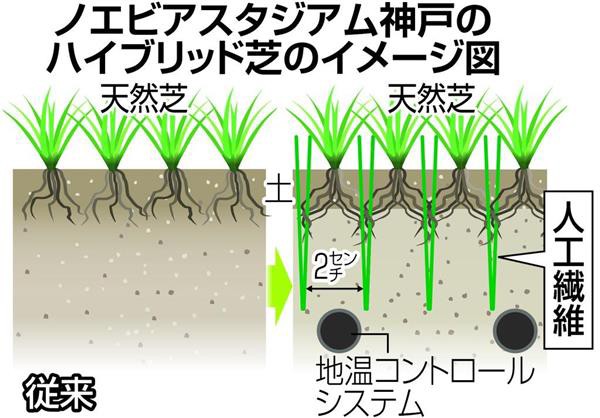 ヴィッセル神戸 ハイブリッド芝を導入 三木谷氏 ノエスタの芝 張り出しました ガゼッタ蹴球