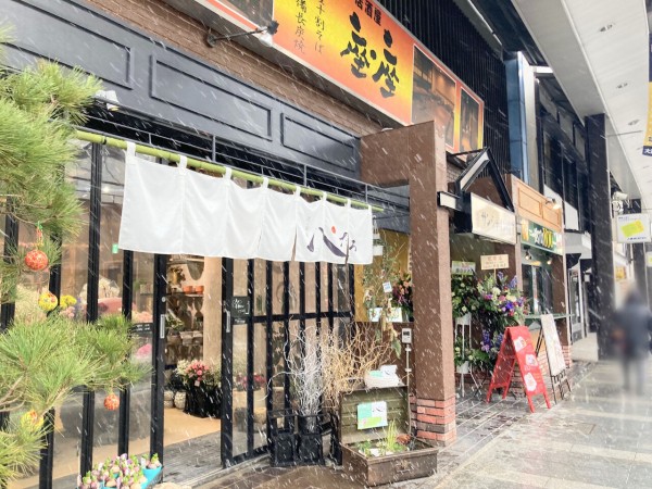 大通にある サンシャイン横丁 に Junkie Kitchen ジャンキチ 花と庭屋 ぺたろ Petalo Bistro You ビストロユウ がオープンしてる もりおか通信 岩手県盛岡市の地域情報サイト
