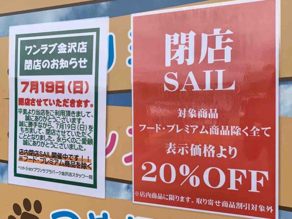 金沢 ドンキホーテ 販売 ペット