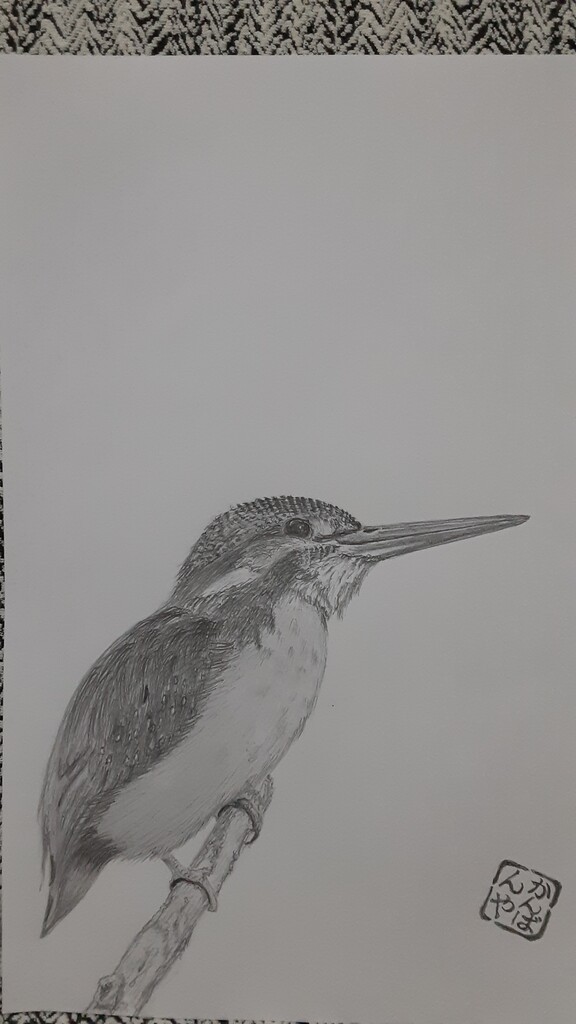 鉛筆画。 : かんばんやの四季彩翡翠