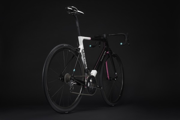 予約受付中】TEREの新しいカラー