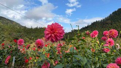FullSizeRender