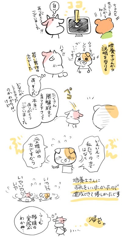 初移植当日 もーもー日和