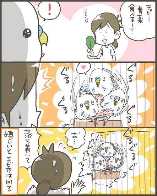 ニャン太様 リクエスト 3点 まとめ商品 にゃん様 リクエスト 3点 まとめ商品 ニャン太様 リクエスト 3点