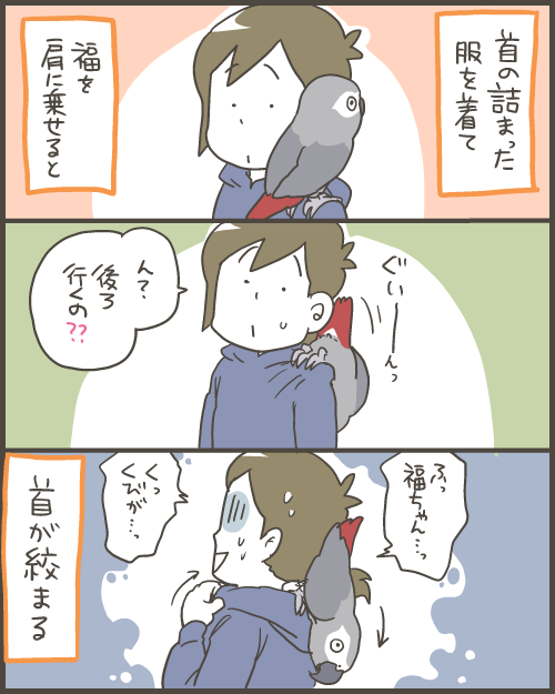 ヨウムを肩に乗せると危険な訳 マルといっしょ Powered By ライブドアブログ