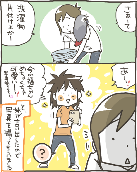 姉が撮った福の可愛い写真 マルといっしょ Powered By ライブドアブログ