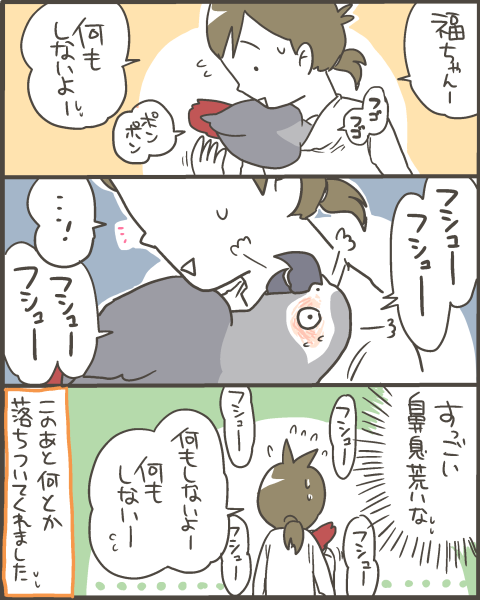 意外にすごい鼻息 マルといっしょ Powered By ライブドアブログ