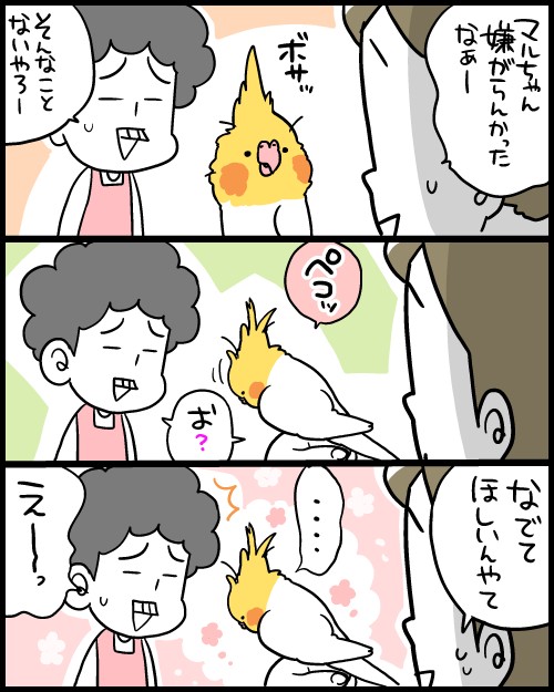 品良く着こなすため なんでもOKなオカメインコのマル : by Powered マルといっしょ その他