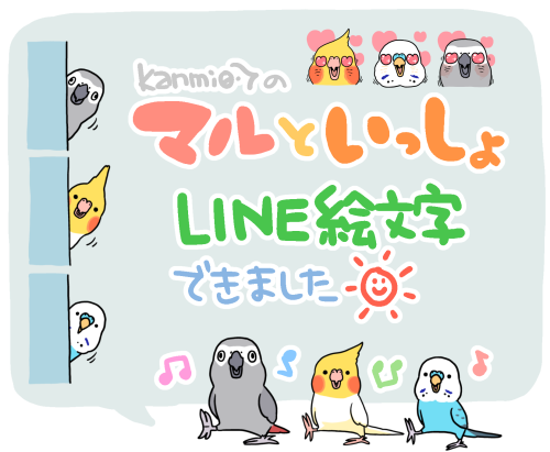 何故かめっちゃ怒るオカメインコ : マルといっしょ Powered by