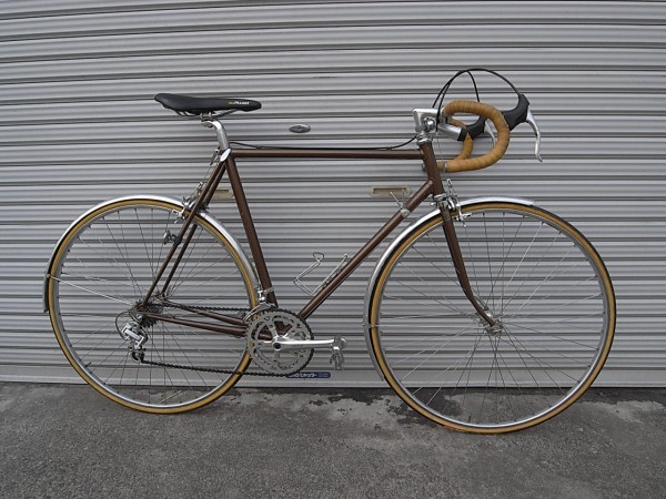 茶色の自転車再生その後 自転車散歩道