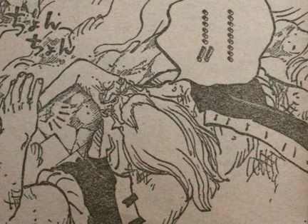 ネタバレ ワンピース 771話 ベビー5の過去が予想外に重かった タケノコ漫画研究所
