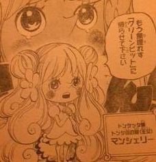 ワンピース 774話 マンシェリー姫が可愛すぎてつらい タケノコ漫画研究所