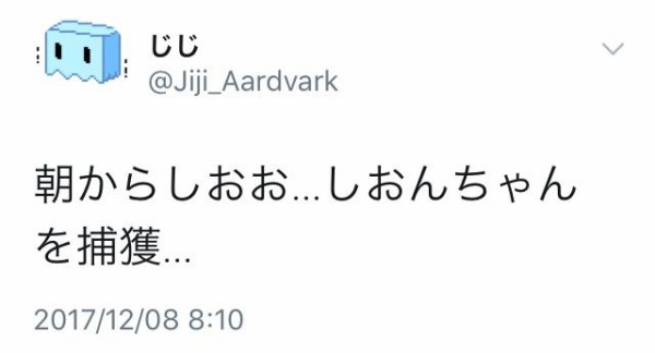 艦これ じじニキ ついにしおんちゃんを捕獲する 青葉通信 艦隊