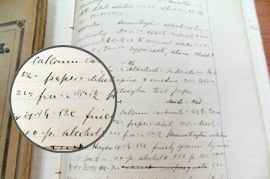 栄養学概論 鈴木梅太郎 二国二郎著　古書 栄養化学(鈴木梅太郎, 二国二郎 著) / 不死鳥BOOKS / 古本、中古