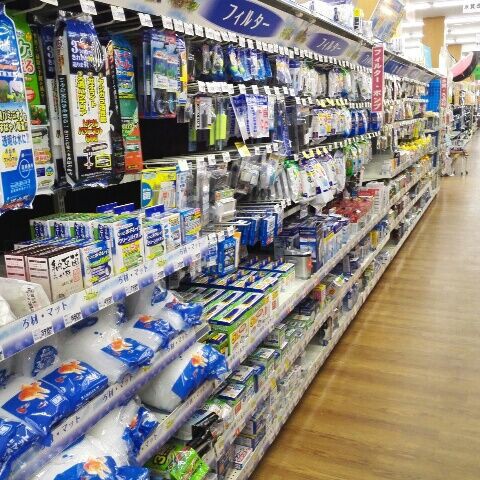 コーナン 八尾 ペットコーナーでか つまらんブログ