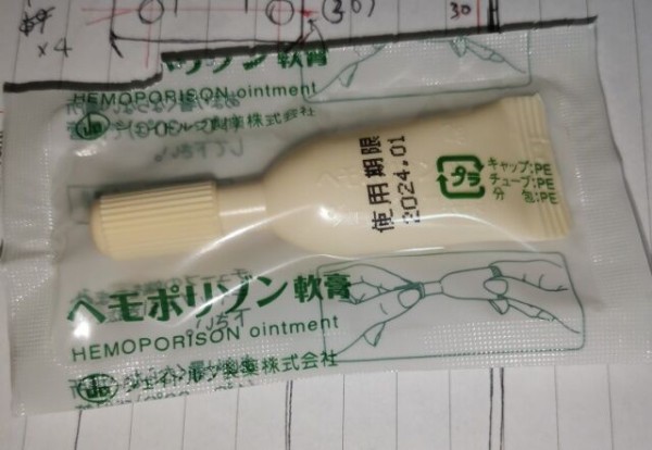 悲報 人生初 痔になる つまらんブログ