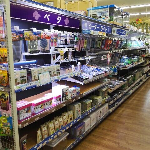 コーナン 八尾 ペットコーナーでか つまらんブログ