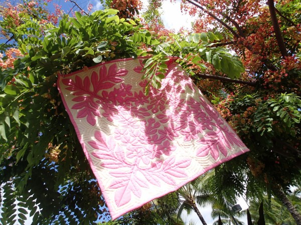 Hawaii レインボーシャワーツリー 手作りハワイアンキルト教室kaohinani Hawaii レインボーシャワーツリー 手作りハワイアンキルト教室kaohinani
