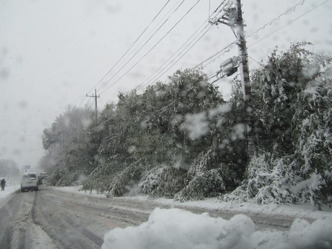 茨城県に帰省 雪 信州 長野県 生坂村発 かおりんご日記