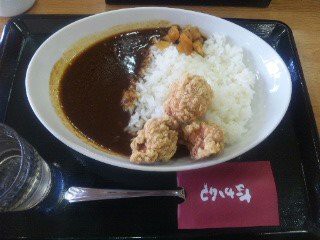 なか卯 からあげカレー 唐揚げ264日目 名古屋の唐揚げブログ