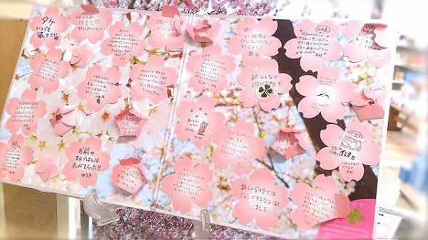 花咲く色紙 桜 花楽堂 店主の和カフェ