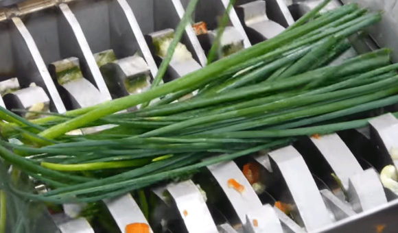 Making salad with FilaMaker Organic waste shredder. 