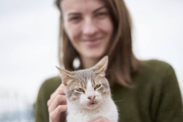 猫が飼い主にお尻を向けるのなぜ 実は飼い主への愛を表していた 米研究 カラパイア