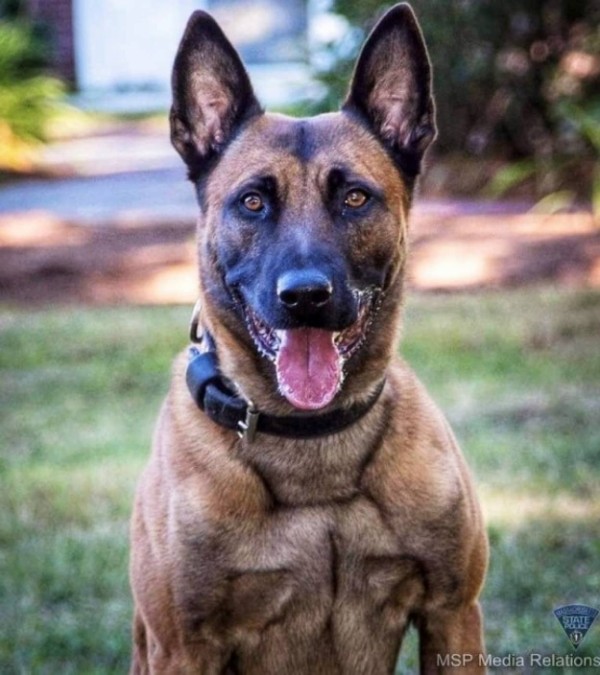 カリフォルニア州警察犬訓練士 - 雑貨