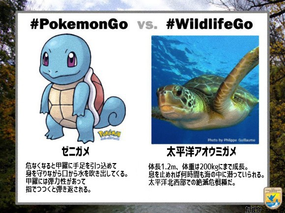 ポケモンと良く似ている野生動物を比較 アメリカの魚類野生生物局がポケモンgoの人気にあやかったキャンペーン ワイルドライフgo を展開中 なんでも情報局 ちゃぃのラグナロクオンライン日記ブログ For Ragnarok Online Yggdrasillnetworkserver Breidablikworld ポケモンと良く似ている野生動物を比較 アメリカの魚類野生生物局がポケモンgoの人気にあやかったキャンペーン ワイルドライフgo を展開中 なんでも情報局 ちゃぃのラグナロクオンライン日記ブログ For Ragnarok Online Yggdrasillnetworkserver Breidablikworld