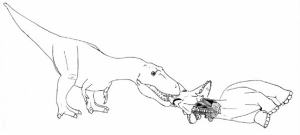 ティラノサウルスがトリケラトプスを食べる時のガイドライン カラパイア
