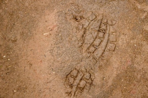 またしても靴を履いた状態で切断された人間の足が セイリッシュ海で15本目の足が発見される ミステリー事件簿 カラパイア