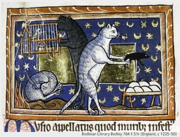 中世の写本が教えてくれる、当時のヨーロッパの人々と猫との関係