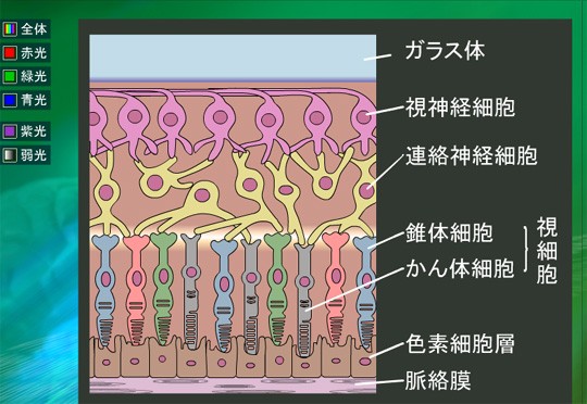 心霊現象はなぜ起きるのか？脳科学で解明する : カラパイア