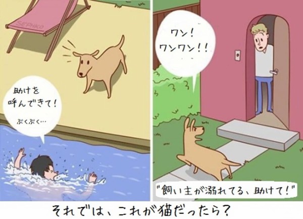 犬と猫って火星と金星くらい違うけど だがそれがいい 犬と猫の違いを描いた海外の10のマンガ カラパイア