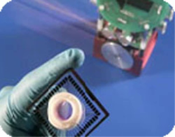 ネズミの脳細胞を埋め込んだ ネズミ知能搭載ロボットが完成 動画あり カラパイア