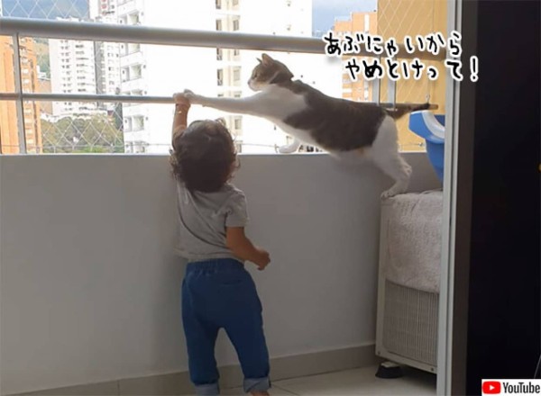 お前にここは危険にゃ ベランダにいる子供を守ろうとする猫 カラパイア