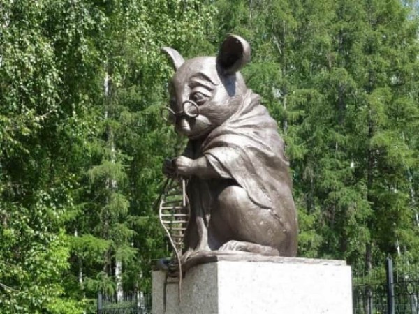 sibirien mouse 27 
