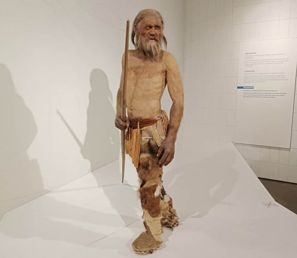 Study reveals how Ötzi the Iceman, Europe's oldest mummy, actually looked  while alive