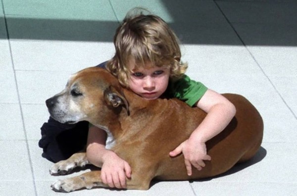 なぜ犬の寿命は人間よりも短いのだろう 大親友だった愛犬がこの世を去った時 少年が語った感動の答え カラパイア