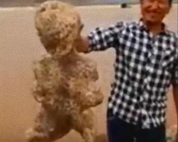 これなんてエイリアン 中国の海岸で発見された ピクンピクンとかすかに動く人型の物体の正体は カラパイア