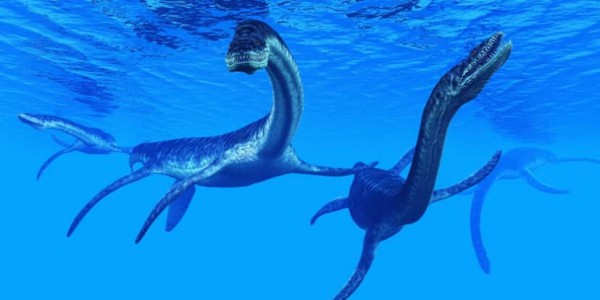 首長竜 プレシオサウルスの歯 化石 恐竜