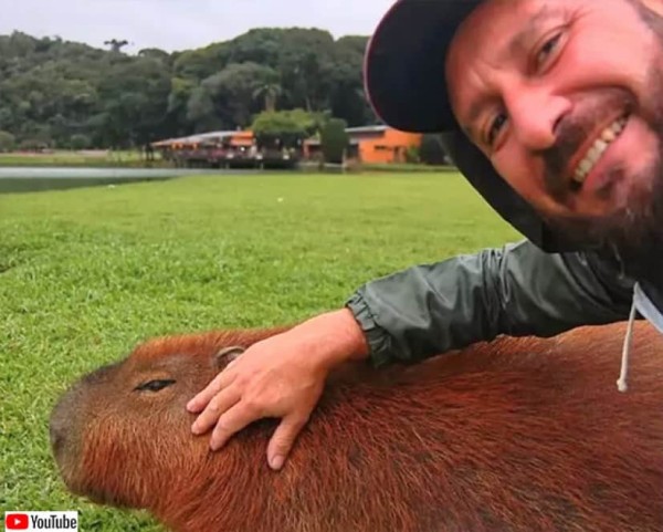 1本の傘からはじまったカピバラと男性の友情。毎日交流するようになり