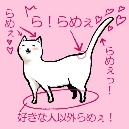 話題 猫のしっぽの付け根を掻くとどうなるか知ってる 枯葉の落葉