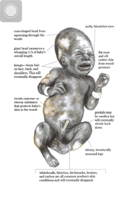 男の育児本 Be Prepared 肉食系ベジタリアンのつぶやき