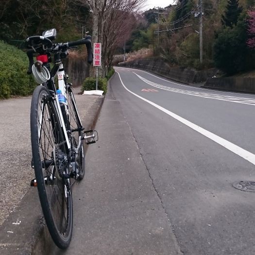 ロードバイクはじめちゃいました ろぐぱら