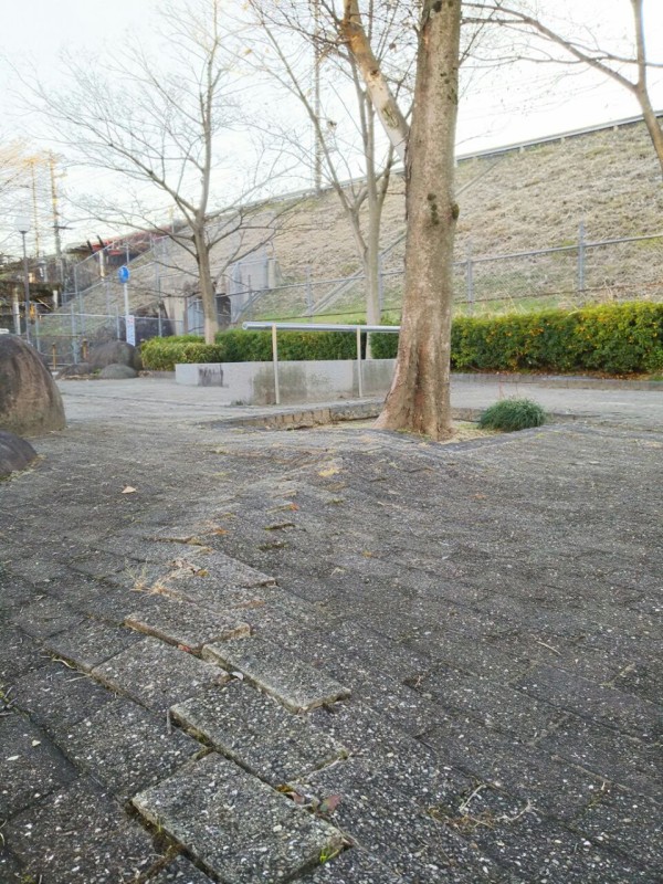 モリモリっと地面が盛り上がってきてる 河内磐船駅前ロータリーのところ 交野タイムズ