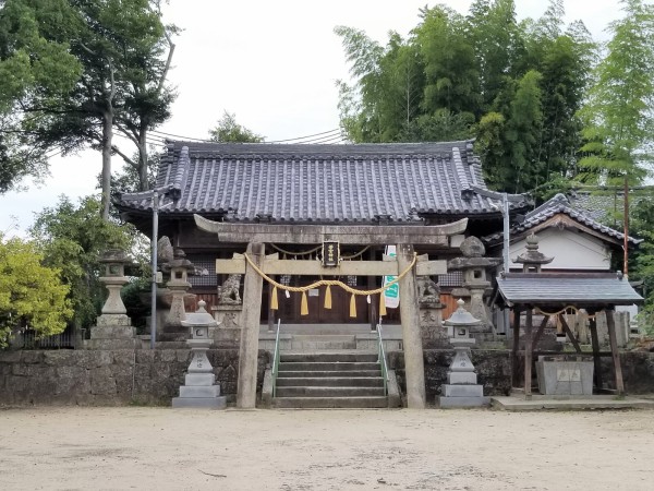 こんなところに！若宮神社付近でサワガニおった！～探せば意外と他にも